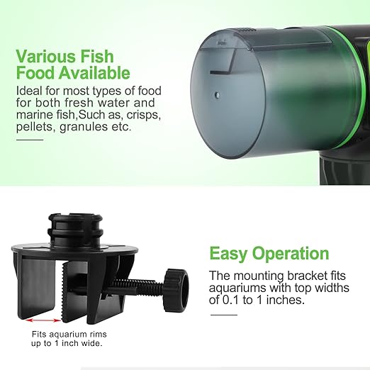 Smart Fish Feeder