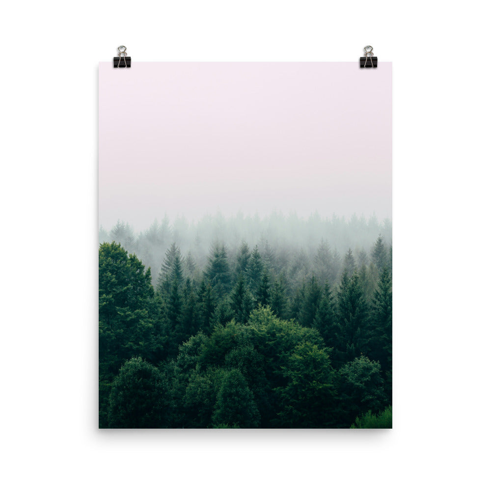 Poster: Hd forest wallpapers