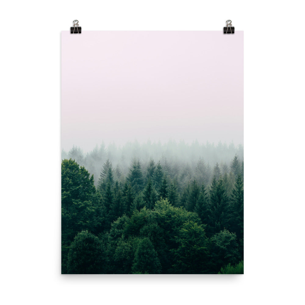 Poster: Hd forest wallpapers