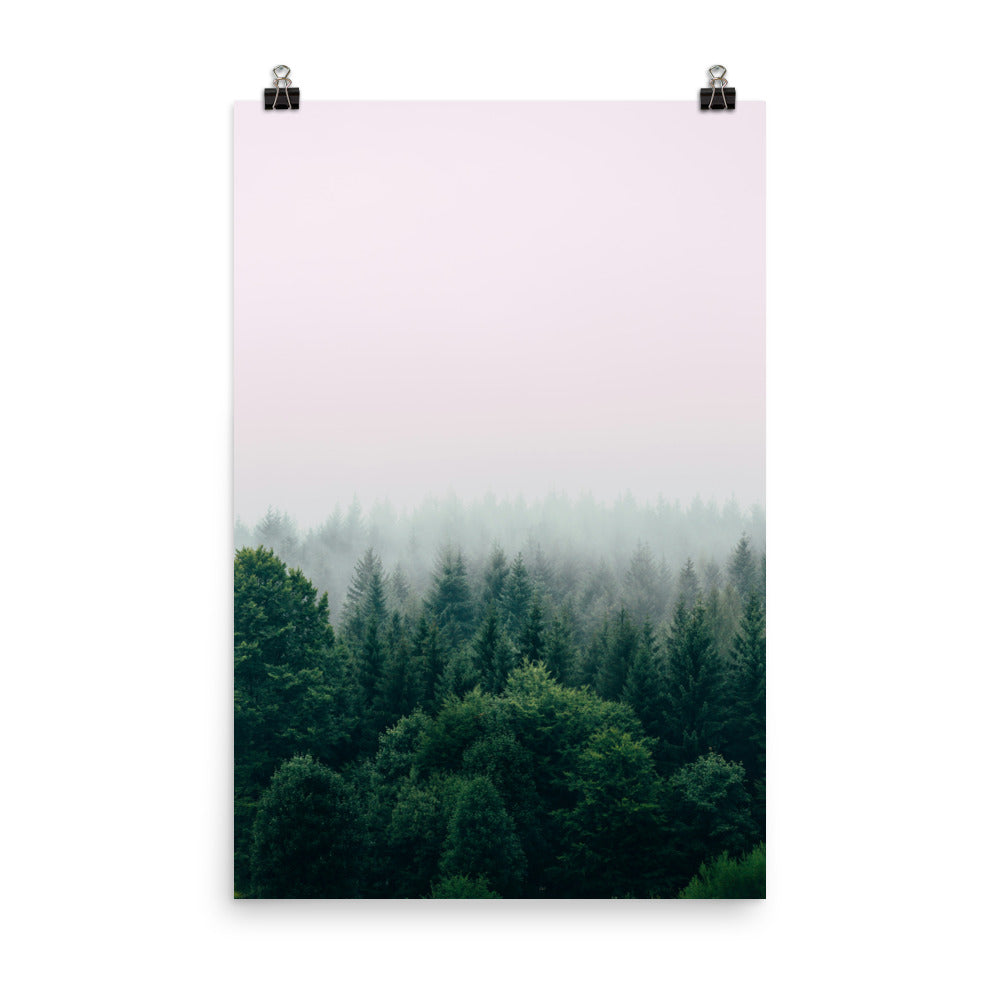 Poster: Hd forest wallpapers